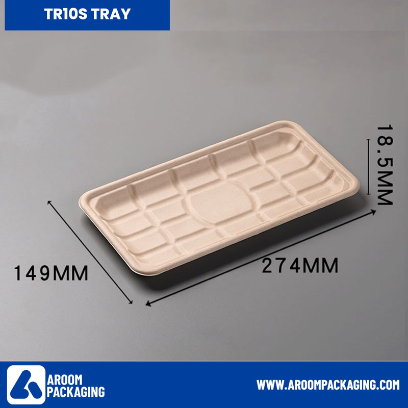 TR10S Rectangular Sugarcane Bagasse Tray