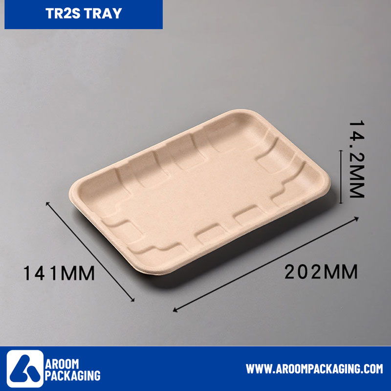TR2S Rectangular Sugarcane Bagasse Tray