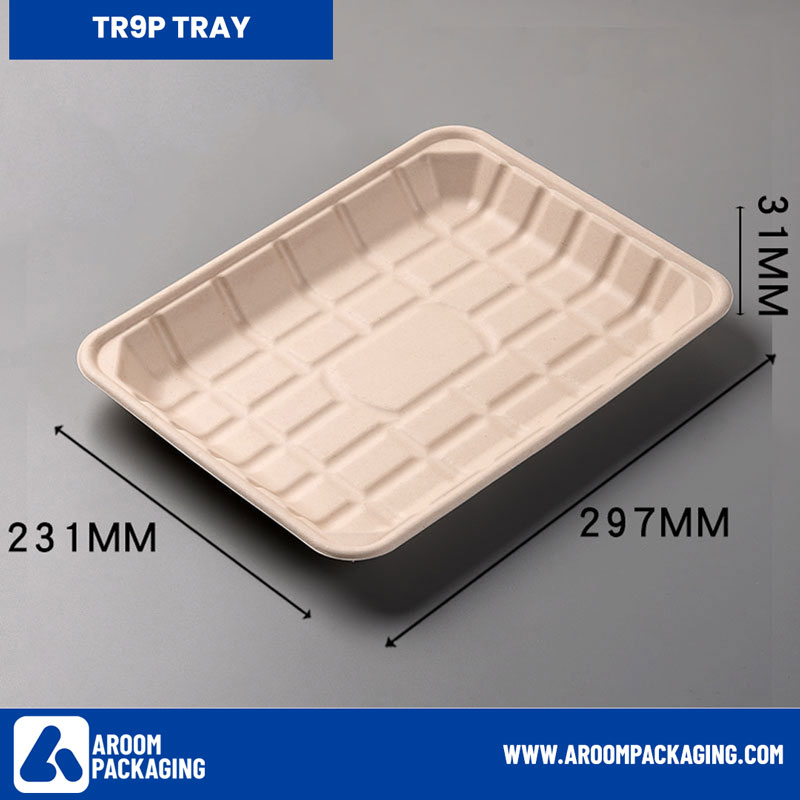 TR9P Rectangular Sugarcane Bagasse Tray