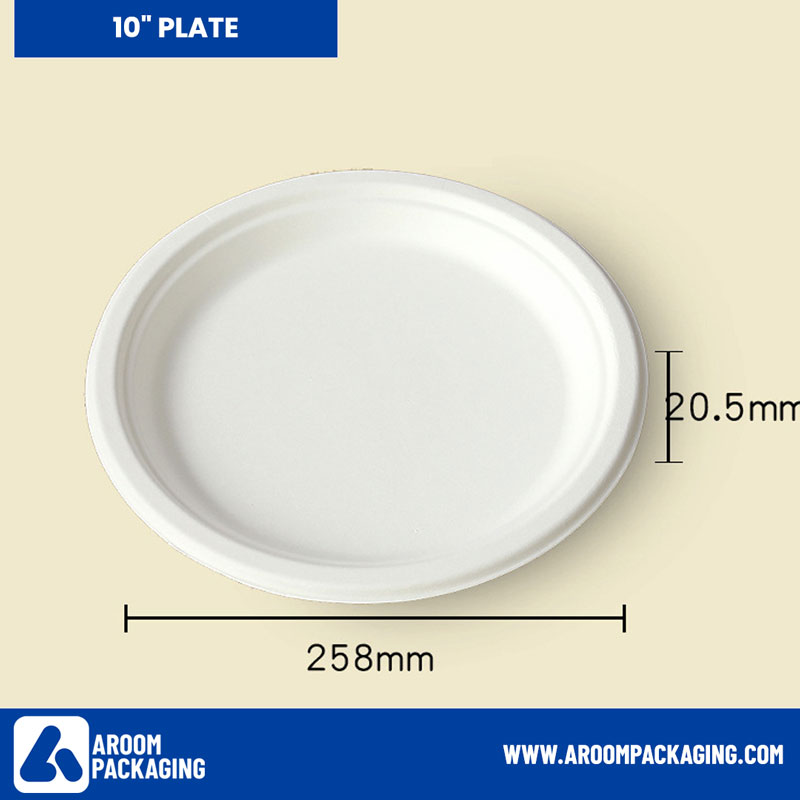 10 Inch Bagasse Sugarcane Fiber Disposable Round Plate